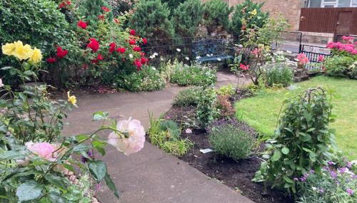 Lovely 3 bedroom family friendly cottage in North Berwick - Foto 1