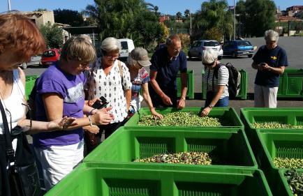 Masseria Case Damma - Photo 94