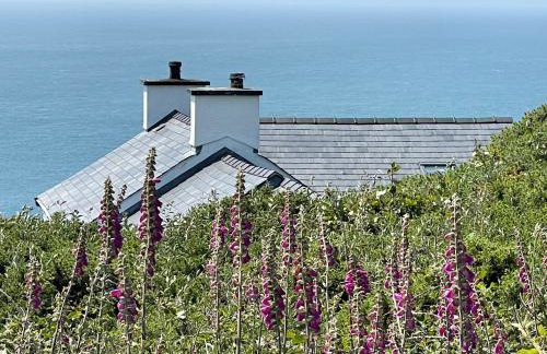 Goferydd, South Stack, Anglesey, 4 bed luxury home, hot tub, dog friendly - Foto 68