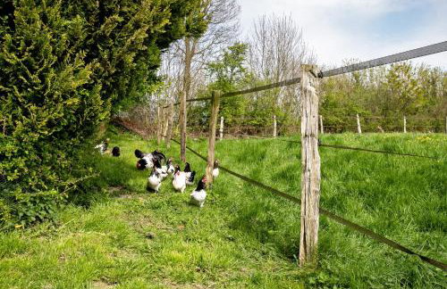 Ferienwohnung Kilian - Foto 26