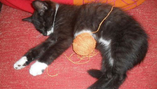 Ferienhaus Duhra - Photo 3