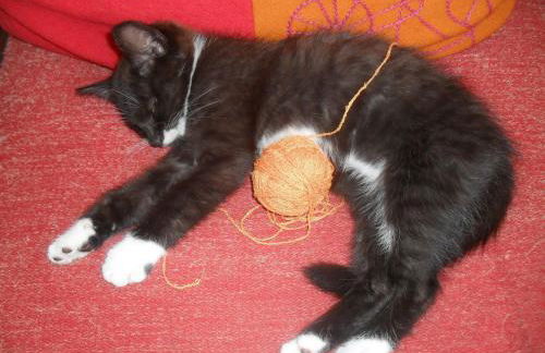 Ferienhaus Duhra - Photo 3