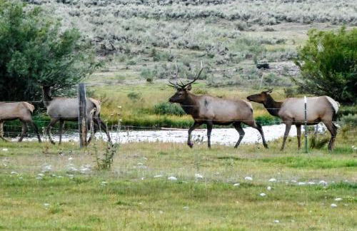 4412 Mackinaw - Foto 3