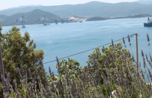 Bella Vista - Foto 49