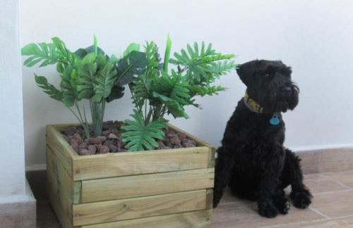 El Huertecito - Foto 16