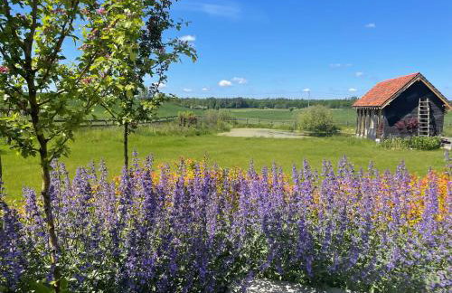 Cuda Wianki Mazury - Foto 60
