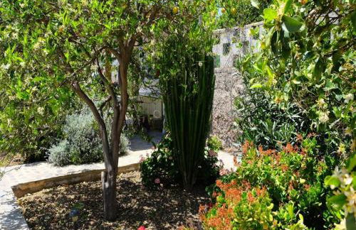 Sofia House with pool in Granadilla de Abona - Foto 15