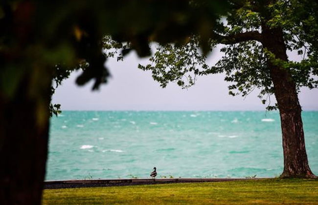 OliverLux Aparthotel - Foto 28