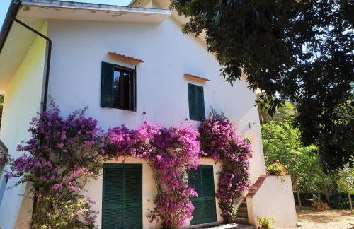 Casa i Forni a Porto Azzurro - Goelba - Foto 10