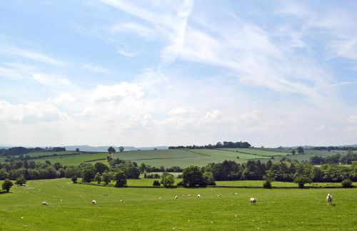 St Vincent - Foto 16