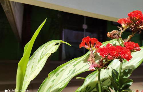 RECANTO RAVI - Foto 23