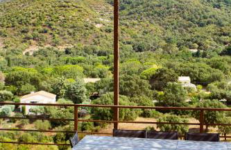 APICULTEUR - Foto 57