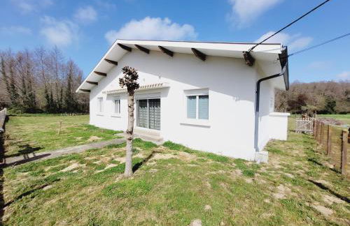 L'Espérance - Foto 17