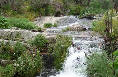 A Velha Casa - Foto 9