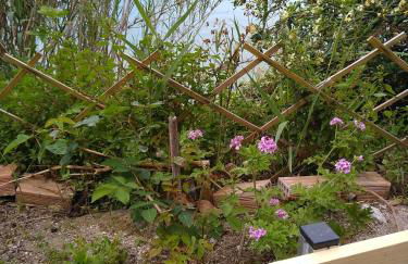 mare di zante "mare di levante" - Foto 17