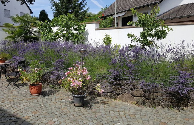 Winzerhaus am Eckbach - Foto 28