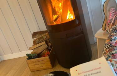 Belle maison avec piscine plein centre Cap Ferret - Foto 15