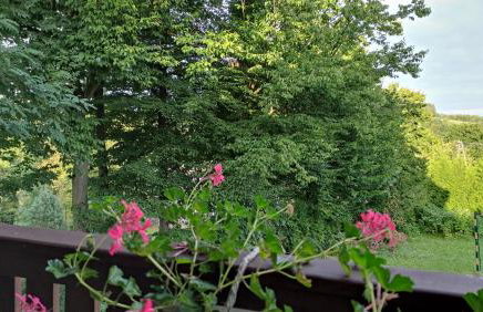 Wielgosówka - Foto 4