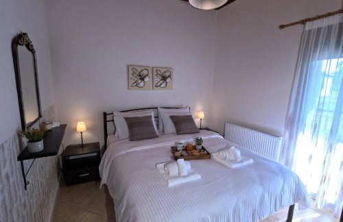 Villa Despina-Aloro-Loutra Pozar - Photo 11