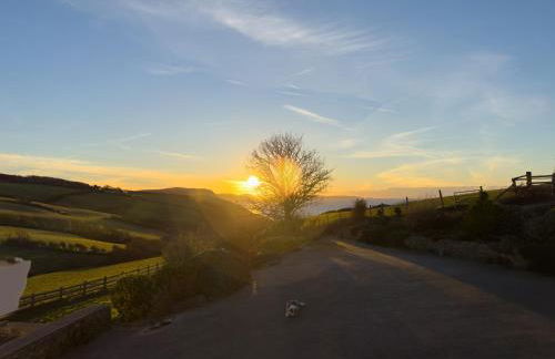 Sea the Stars - Photo 20