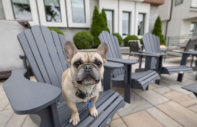 Eagle Nest House in Nashville - Foto 59