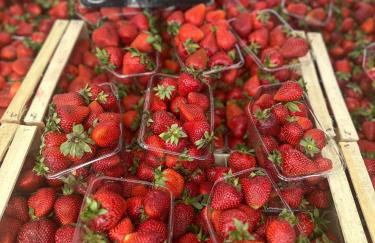 SeaTerra Boutique suite - Foto 45