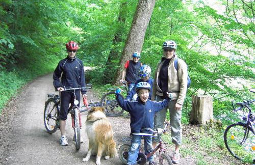 Ferienwohnungen Holder - Photo 10