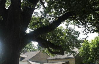 Gîte les 3 petits porcelets - Foto 18