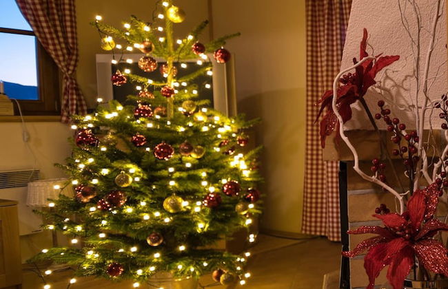 Liptovske chaty - Photo 14