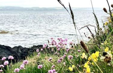 'The Studio' Designer, seaside cottage - Foto 53