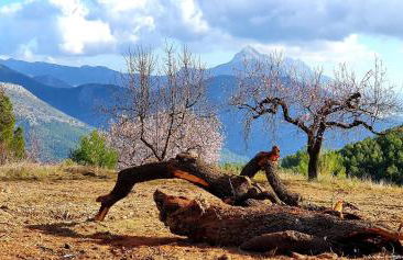 EL ÚNICO apartment with jacuzzi and art - Photo 9