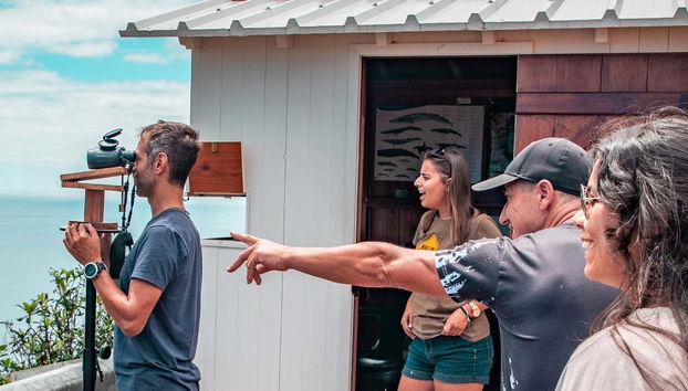 Procurando baleias no mirante Vigia da Furada