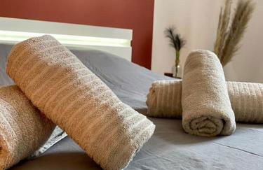 L'Ovalie Appartement T2 CLIMATISÉ et JARDIN - Photo 22