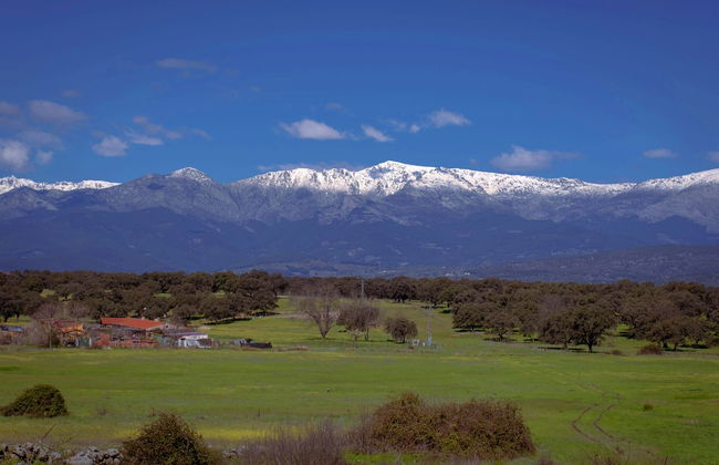 Estrellas de Gredos - Foto 37