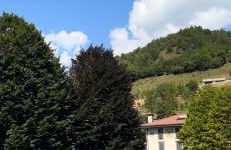 Euro Bilo Home - Photo 13