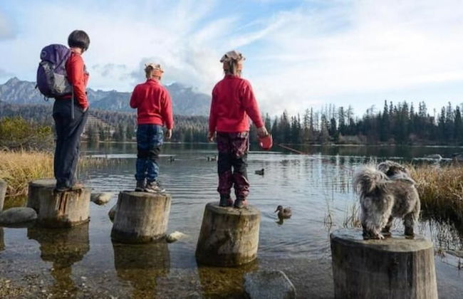 Hotel Crocus - Foto 58