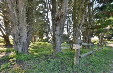 L'Estran - Résidence Pleine Mer - Foto 10