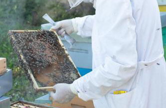 Agriturismo da Natalino - Foto 77