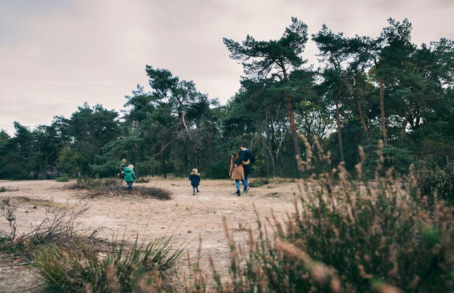 Cozy Woodland Getaway - Photo 35