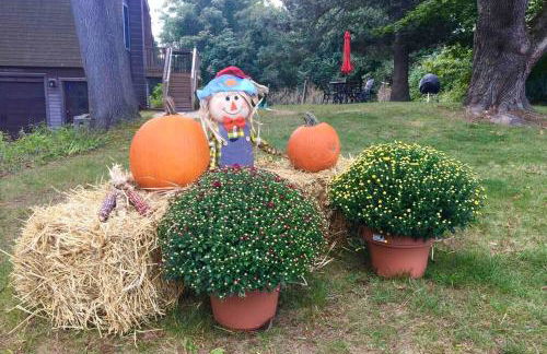 Newly Renovated Carriage House Near Town & Beaches - Foto 21