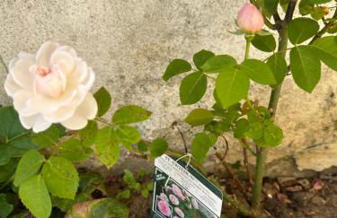 Bay Golf House - Foto 59