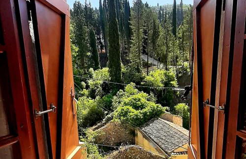 Lulu In The Valley - Foto 8