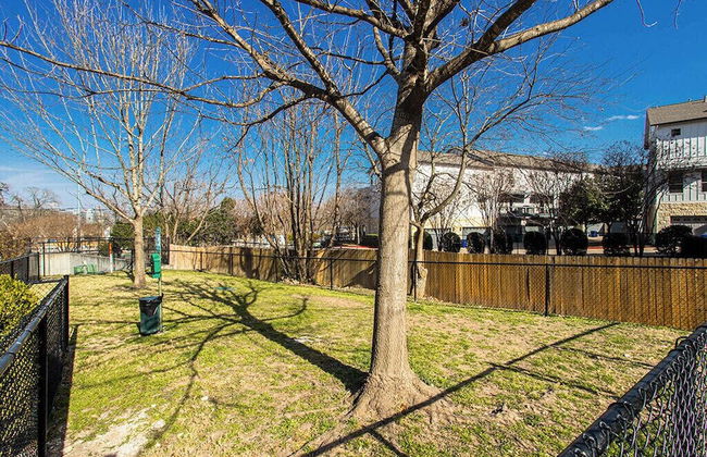 Convenient Condo Near Zilker & Barton Springs! - Photo 15
