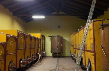 Tenuta Agricola La Cava- Cantina e Agriturismo - Foto 36