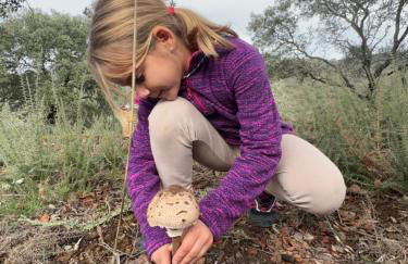 Nature Space Jabugo - Foto 37