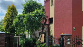 Puszczykowska willa - Foto 4