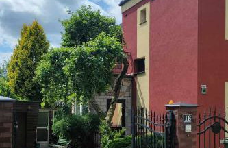 Puszczykowska willa - Foto 4