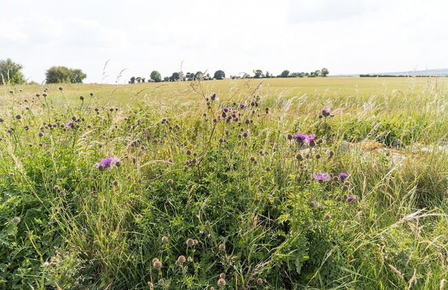 Stunning 2 Bed Cottage in Fordwells - Foto 49