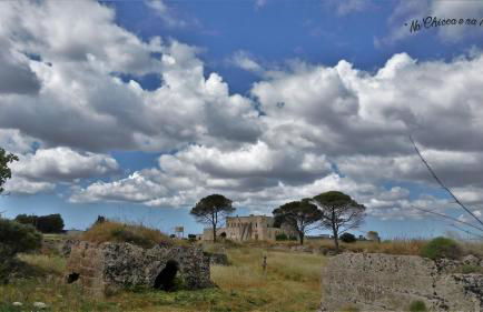 Na Chicca e na Nicchia - Foto 14