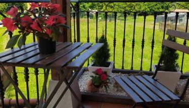 LA GRANDA DE LA CONCHA - Foto 5